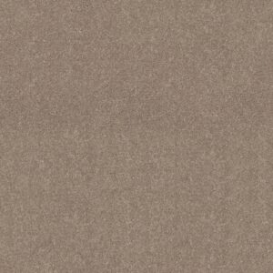 Shaw Floors Carpet Dyersburg Classic 12' Antique Silk 00131_E0947