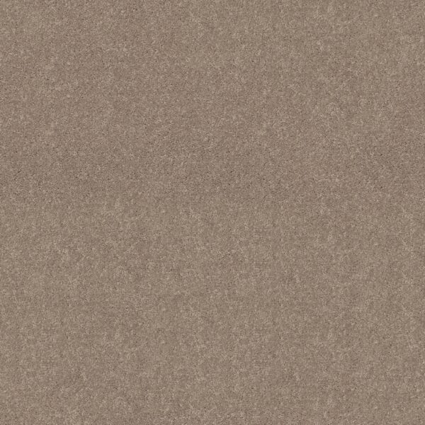Shaw Floors Carpet Dyersburg Classic 12' Antique Silk 00131_E0947