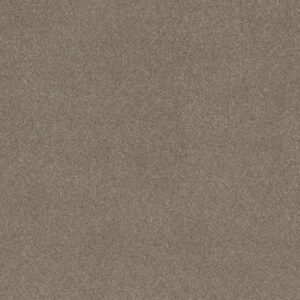 Shaw Floors Carpet Dyersburg Classic 12' Pebble Path 00132_E0947
