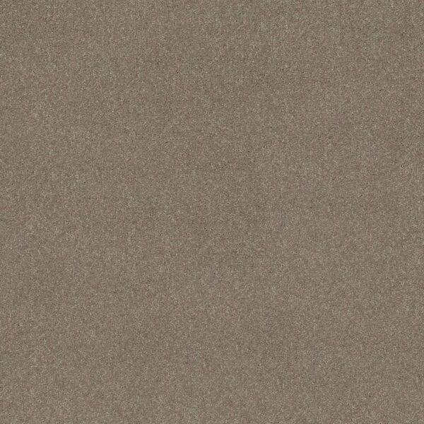 Shaw Floors Carpet Dyersburg Classic 12' Pebble Path 00132_E0947