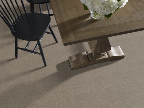 Shaw Floors Carpet Dyersburg Classic 12' Pebble Path 00132_E0947 - Image 2