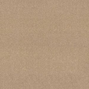 Shaw Floors Carpet Dyersburg Classic 12' Casual Cream 00230_E0947