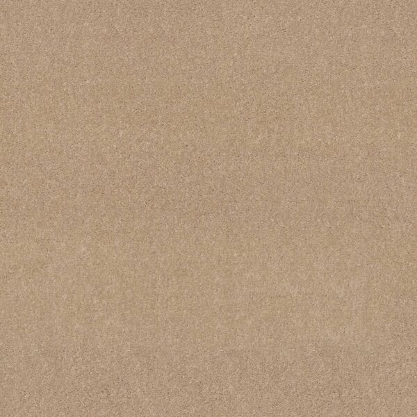 Shaw Floors Carpet Dyersburg Classic 12' Casual Cream 00230_E0947