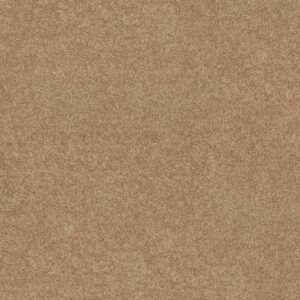 Shaw Floors Carpet Dyersburg Classic 12' Straw Hat 00260_E0947