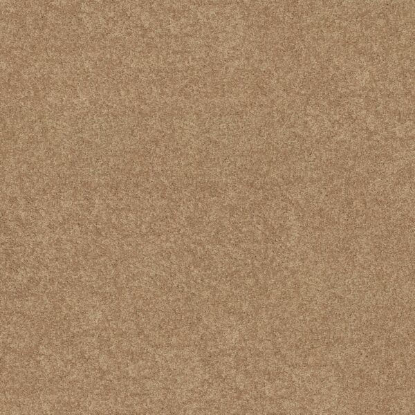 Shaw Floors Carpet Dyersburg Classic 12' Straw Hat 00260_E0947