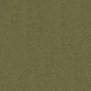Shaw Floors Carpet Dyersburg Classic 12' Going Green 00330_E0947