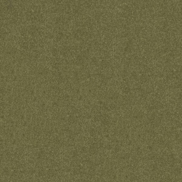 Shaw Floors Carpet Dyersburg Classic 12' Going Green 00330_E0947