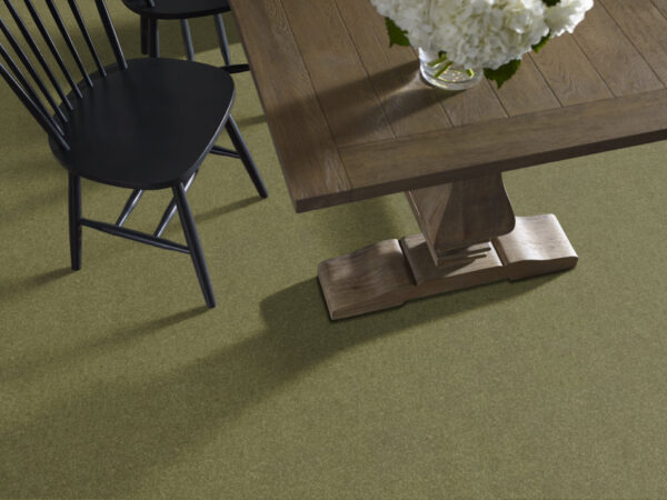 Shaw Floors Carpet Dyersburg Classic 12' Going Green 00330_E0947 - Image 2