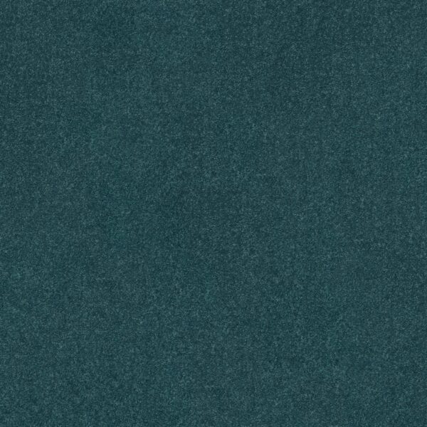 Shaw Floors Carpet Dyersburg Classic 12' Ocean 00430_E0947