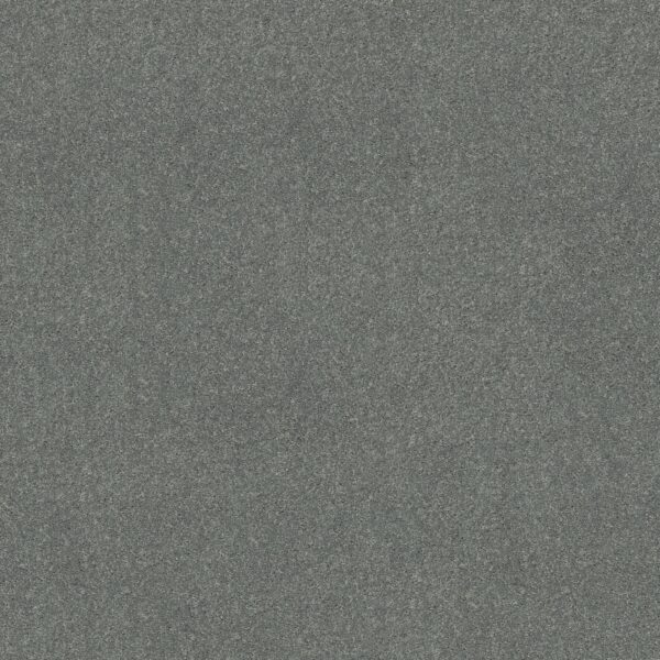 Shaw Floors Carpet Dyersburg Classic 12' Bahama Bay 00454_E0947
