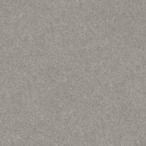 Shaw Floors Carpet Dyersburg Classic 12' Morning Fog 00530_E0947
