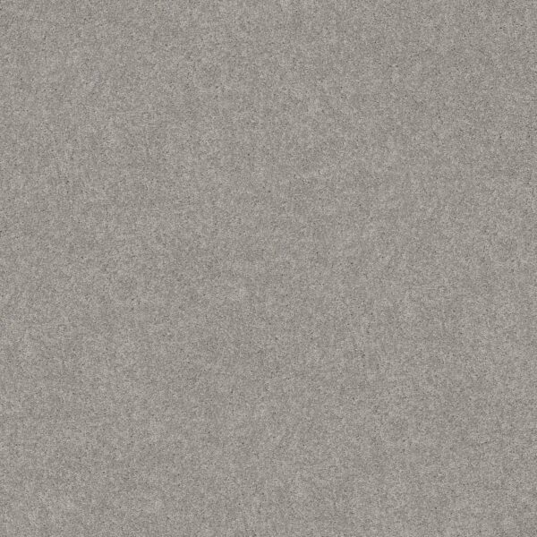 Shaw Floors Carpet Dyersburg Classic 12' Morning Fog 00530_E0947