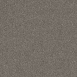 Shaw Floors Carpet Dyersburg Classic 12' Haze 00531_E0947