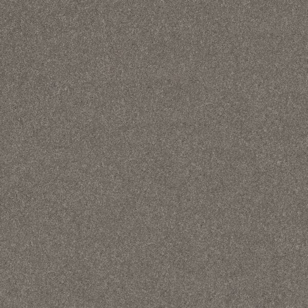 Shaw Floors Carpet Dyersburg Classic 12' Haze 00531_E0947