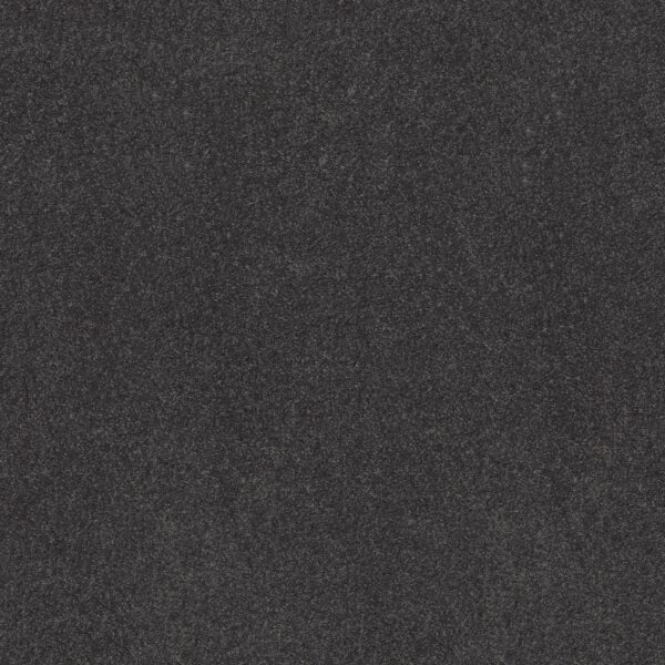 Shaw Floors Carpet Dyersburg Classic 12' Steel Beam 00534_E0947