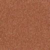 Shaw Floors Carpet Dyersburg Classic 12' Sunburst 00630_E0947
