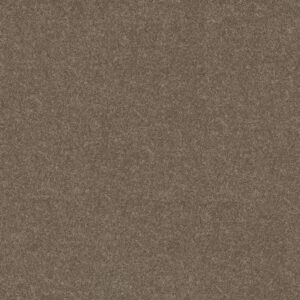 Shaw Floors Carpet Dyersburg Classic 12' Suede 00731_E0947