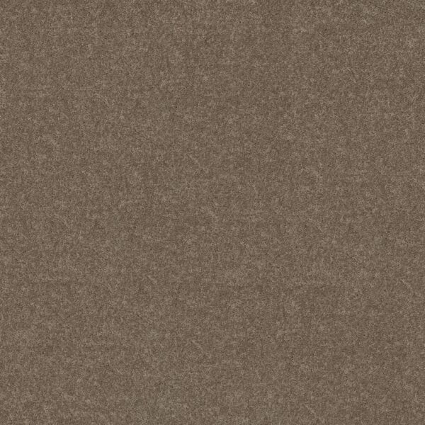 Shaw Floors Carpet Dyersburg Classic 12' Suede 00731_E0947