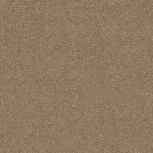 Shaw Floors Carpet Dyersburg Classic 12' Fossil 00761_E0947