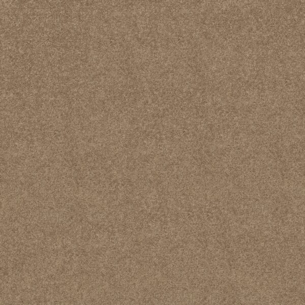 Shaw Floors Carpet Dyersburg Classic 12' Fossil 00761_E0947