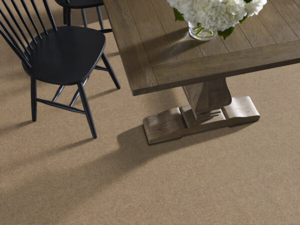 Shaw Floors Carpet Dyersburg Classic 12' Fossil 00761_E0947 - Image 2
