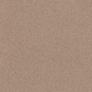Shaw Floors Carpet Dyersburg Classic 12' Cabin 00762_E0947