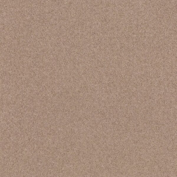 Shaw Floors Carpet Dyersburg Classic 12' Cabin 00762_E0947