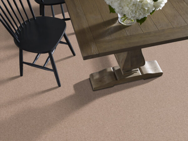 Shaw Floors Carpet Dyersburg Classic 12' Cabin 00762_E0947 - Image 2