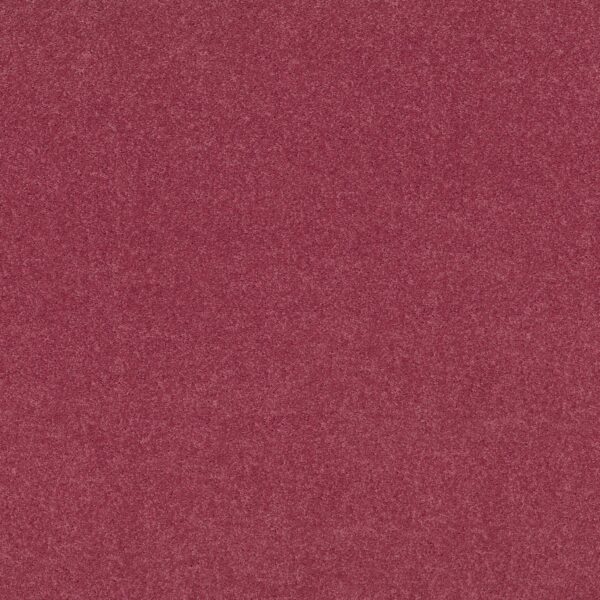 Shaw Floors Carpet Dyersburg Classic 12' Sassy Pink 00830_E0947