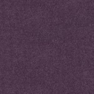 Shaw Floors Carpet Dyersburg Classic 12' Violet Crush 00930_E0947