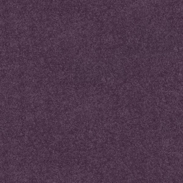 Shaw Floors Carpet Dyersburg Classic 12' Violet Crush 00930_E0947