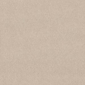 Shaw Floors Carpet Dyersburg Classic 12' Alabaster 55100_E0947