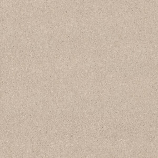 Shaw Floors Carpet Dyersburg Classic 12' Alabaster 55100_E0947
