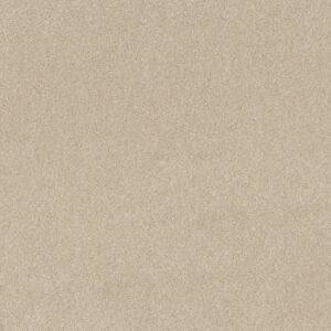 Shaw Floors Carpet Dyersburg Classic 12' Ivory Tint 55101_E0947