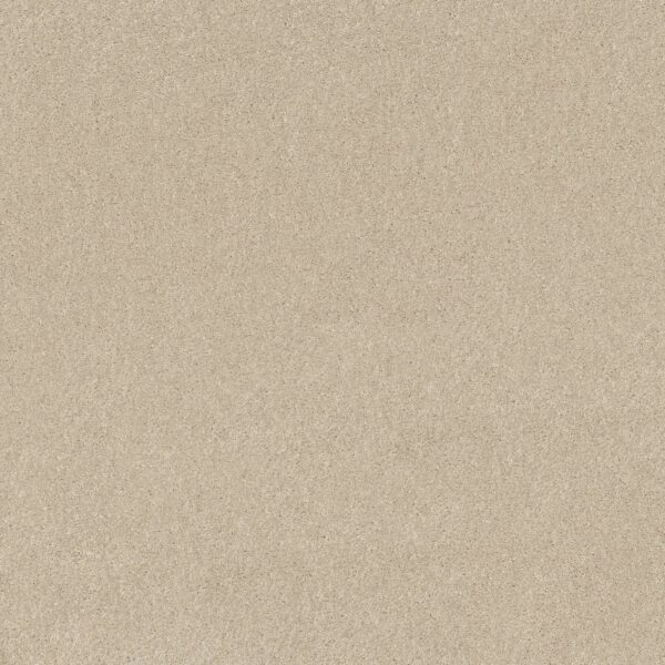 Shaw Floors Carpet Dyersburg Classic 12' Ivory Tint 55101_E0947