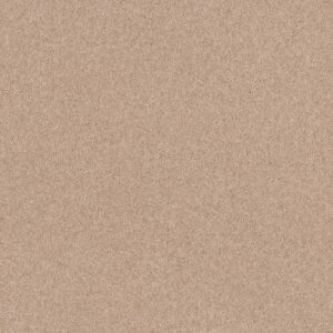 Shaw Floors Carpet Dyersburg Classic 12' Cashmere 55103_E0947