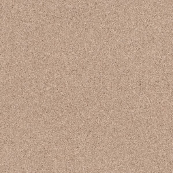 Shaw Floors Carpet Dyersburg Classic 12' Cashmere 55103_E0947