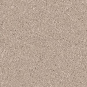 Shaw Floors Carpet Dyersburg Classic 12' Taupe 55105_E0947