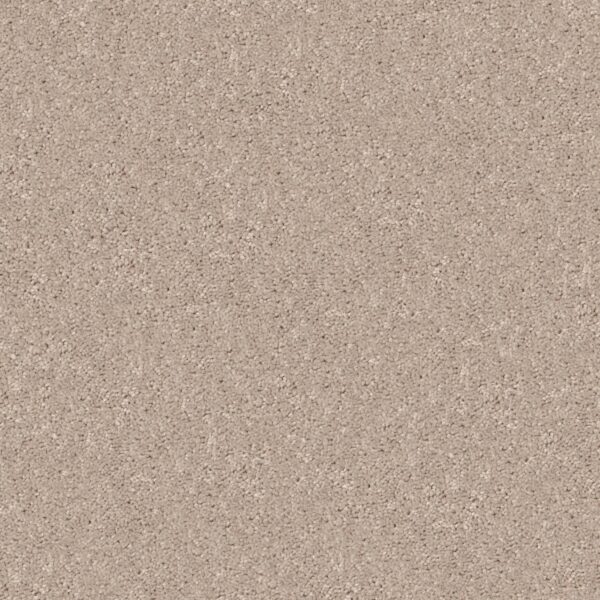 Shaw Floors Carpet Dyersburg Classic 12' Taupe 55105_E0947