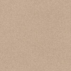 Shaw Floors Carpet Dyersburg Classic 12' Marble 55150_E0947