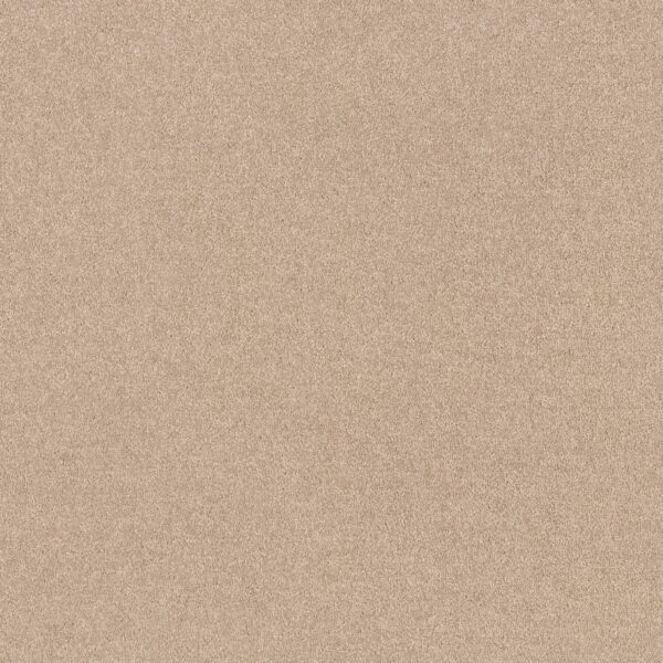 Shaw Floors Carpet Dyersburg Classic 12' Marble 55150_E0947