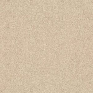 Shaw Floors Carpet Dyersburg Classic 12' Vanilla Custard 55151_E0947