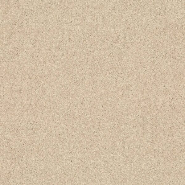 Shaw Floors Carpet Dyersburg Classic 12' Vanilla Custard 55151_E0947