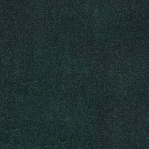 Shaw Floors Carpet Dyersburg Classic 12' Polo 55301_E0947