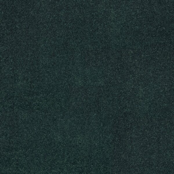 Shaw Floors Carpet Dyersburg Classic 12' Polo 55301_E0947