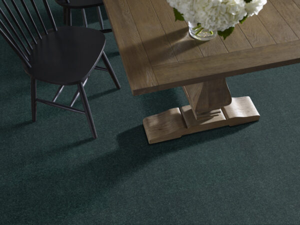 Shaw Floors Carpet Dyersburg Classic 12' Polo 55301_E0947 - Image 2