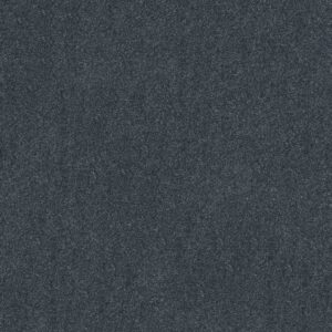 Shaw Floors Carpet Dyersburg Classic 12' Colonial 55401_E0947