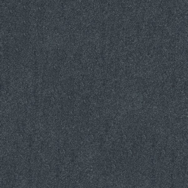 Shaw Floors Carpet Dyersburg Classic 12' Colonial 55401_E0947