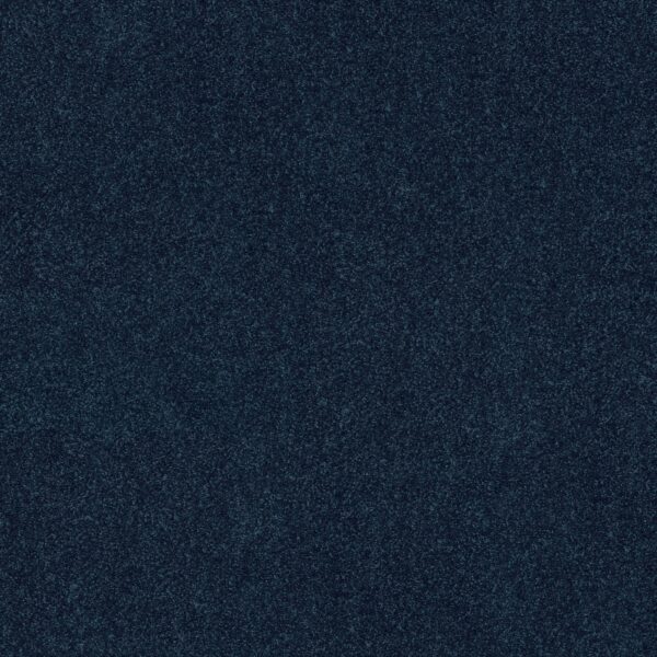 Shaw Floors Carpet Dyersburg Classic 12' Darkest Denim 55402_E0947