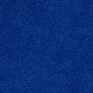 Shaw Floors Carpet Dyersburg Classic 12' Cobalt 55453_E0947